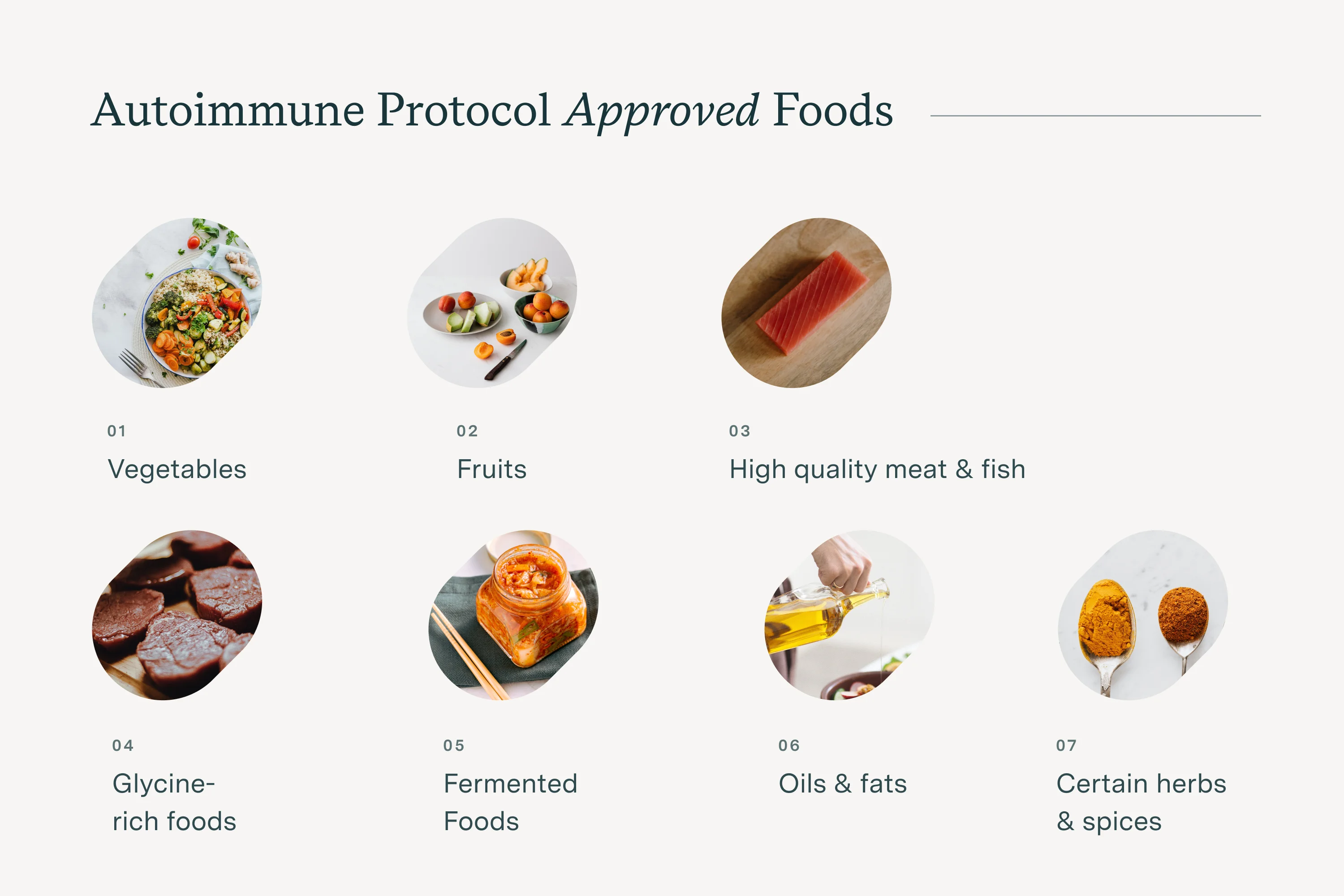 autoimmune protocol approved foods infographic